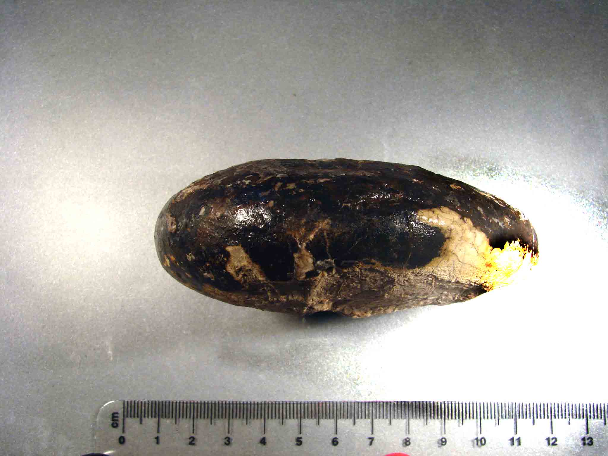 riconoscimento per.. esperti.